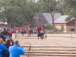 IMG_8303_web